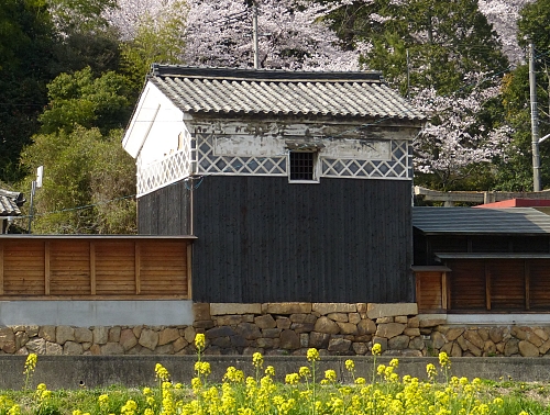 Kura Giappone rurale fra i fiori mostra le tracce della pittura nera usata per nasconderlo durante la seconda guerra mondiale