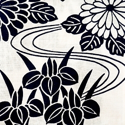 corso d' acqua iris e crisantemi blu su sfondo bianco