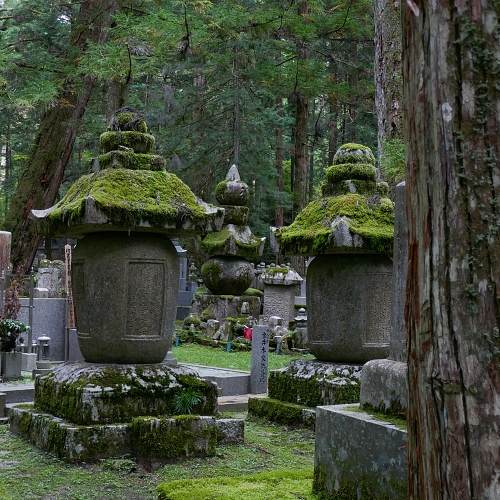 Tombe coperte da muschio al cimitero del tempio Okunoin