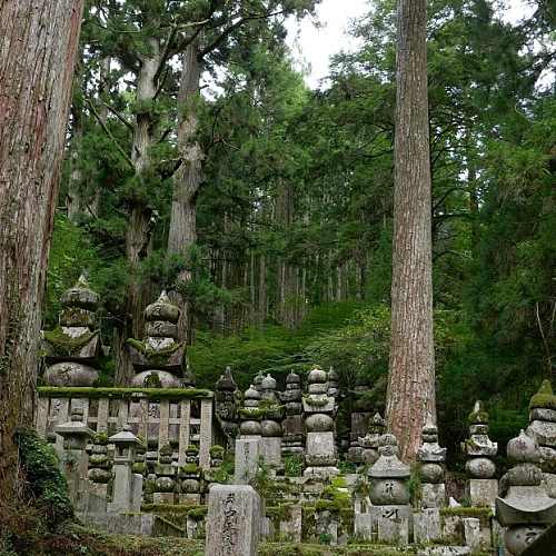 tombe e stupa in mezzo a una foresta di pini