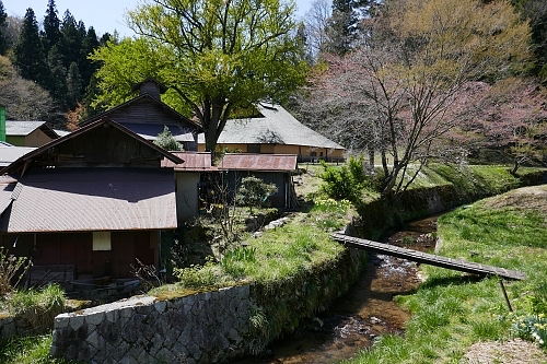 Panoramica della tatara in campagna