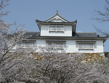 Castello-Tsuyama