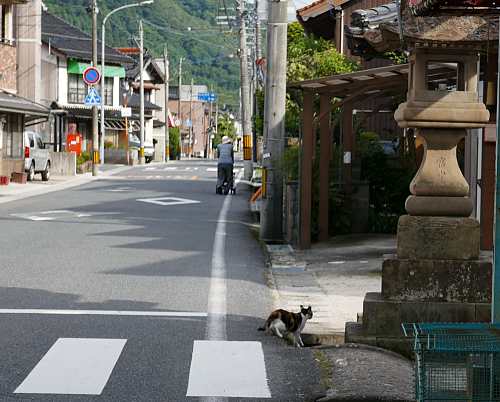 Strada-antica-Giappone