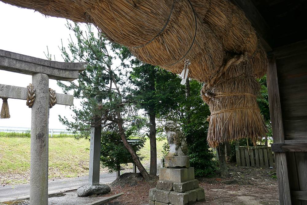 Torii-shimenawa-Hachiman-jinja