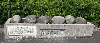 antico gioco giapponese