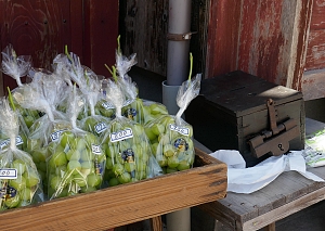 bancarella senza vanditore