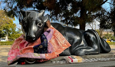 Mucca messaggero a Kitano Tenmangu di Kyoto
