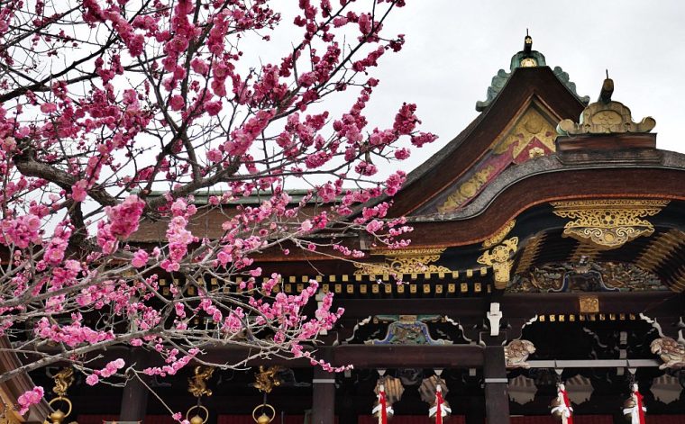Pruno in fiore ed elementi decorativi della facciata di Kitano Tenmangu