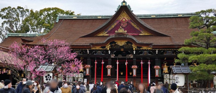 Tobiume rosa a sinistra e pino a destra davanti al tempio di Kitano Tenmangu