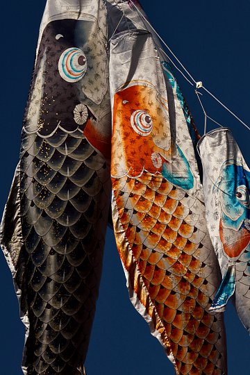 koinobori