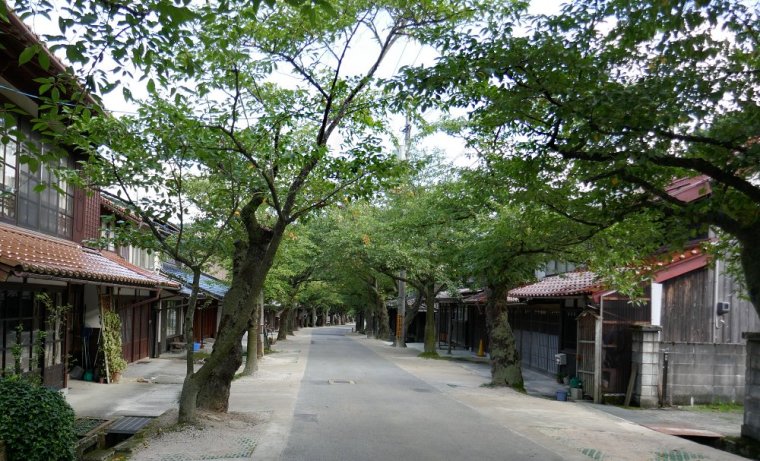 gaisen sakura dori in estate