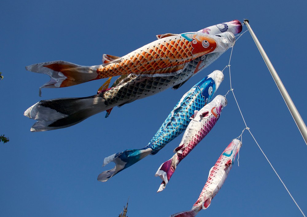 koinobori contro il cielo