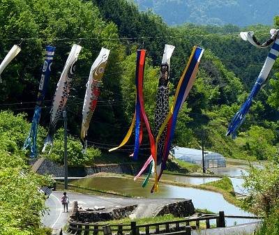 koinobori attraverso una valle
