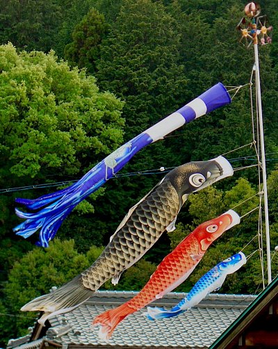 koinobori sventolano al cielo