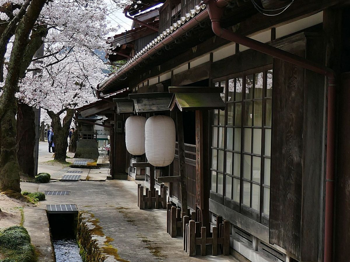 Le quattro stagioni di Shinjō e il suono del periodo&nbsp;Edo