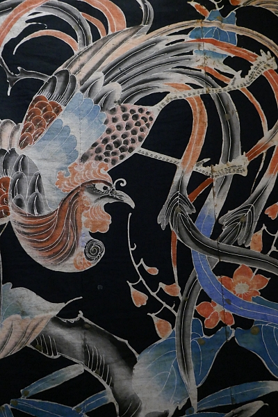 fenice e pawlonia simboli di auspicio