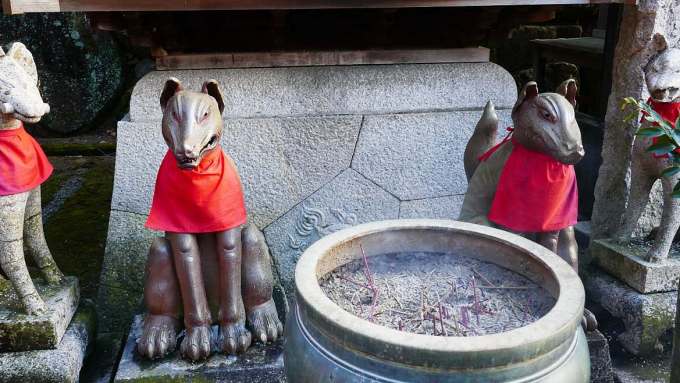 Volpi a guardia di un tempio