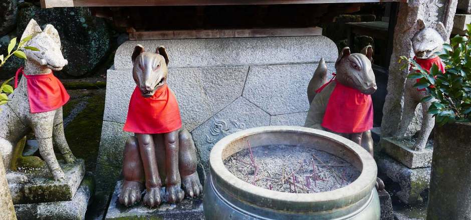 Volpi a guardia di un tempio