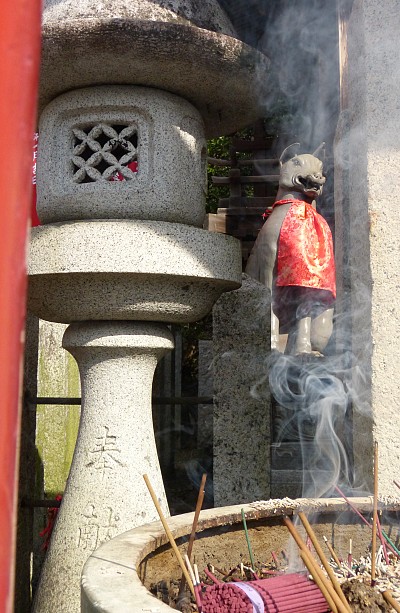 Volpe messaggera sbuca da uno scorcio