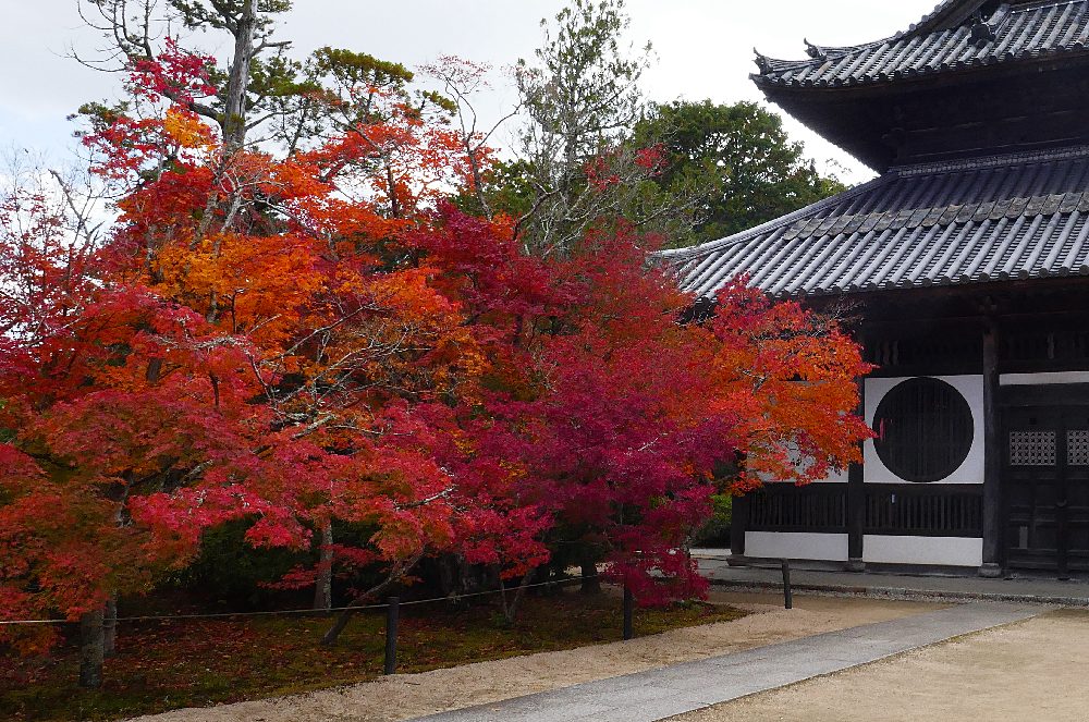 Foglie autunnali e tempio giapponese