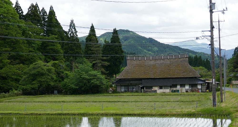 casa con tetto di paglia di miscanto