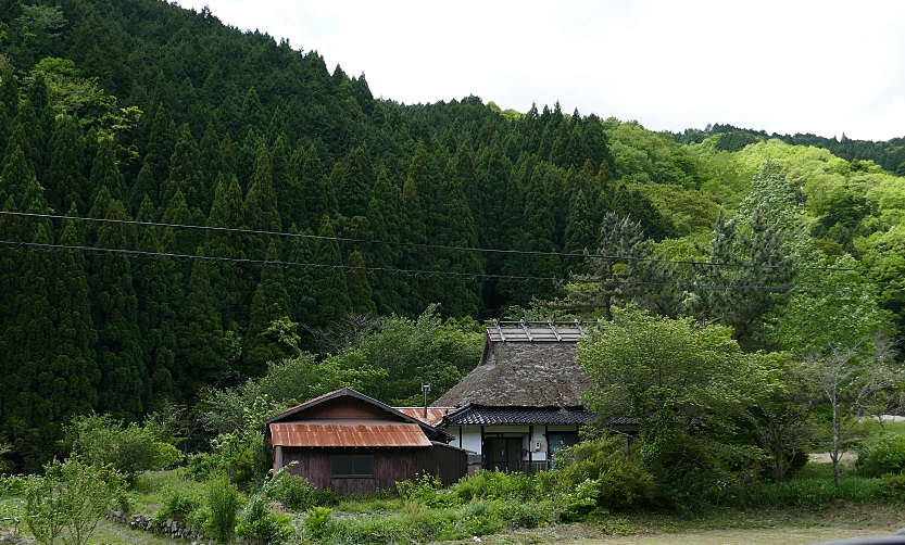 casa rurale tradizionale del Giappone e alberi di cedro