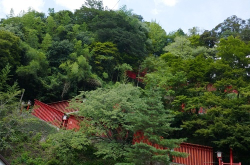 Tunnel di torii Taikodani Inari