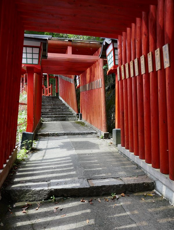 galleria di torii tempio Taikodani Inari