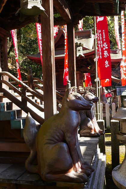 Volpi messaggere di Inari